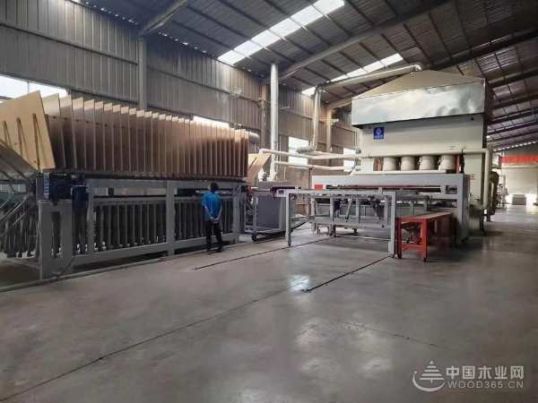 世林正弘：无惧竞争 打造定制专用家具板