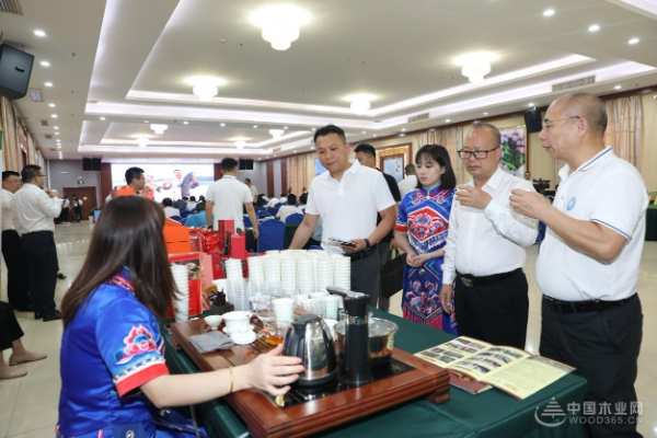 文化碰撞 壮象董事长叶新忠受邀出席第二十一届河池铜鼓山歌艺术节