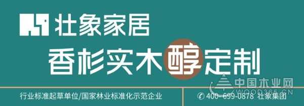 文化碰撞 壮象董事长叶新忠受邀出席第二十一届河池铜鼓山歌艺术节