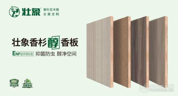 助力美丽乡村建设 壮象荣获“全国绿色建材下乡推荐品牌”