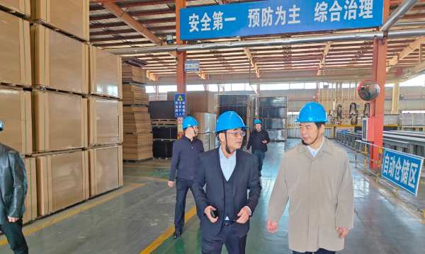 中国林产工业协会领导一行到山东佰世达集团考察指导
