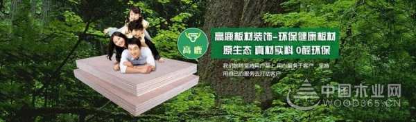 高鹿板材：乘绿色之风，构筑健康环保家