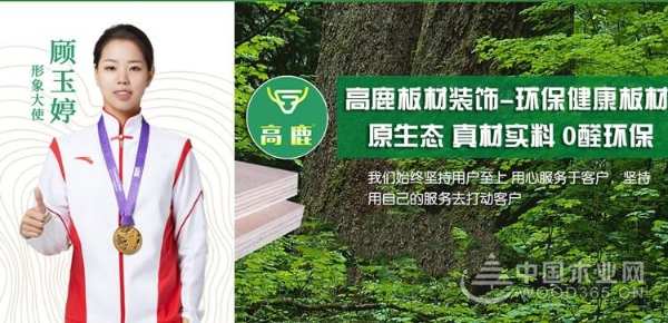 高鹿板材：乘绿色之风，构筑健康环保家