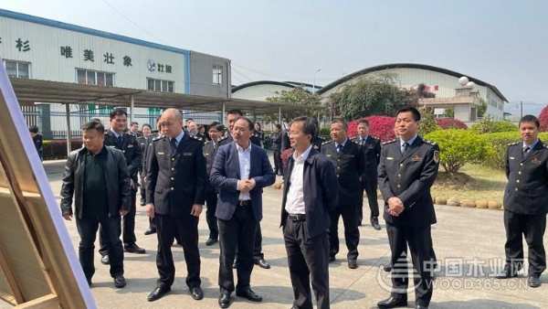 双喜临门！壮象荣获广西质量提升示范企业与绿色产品认证！