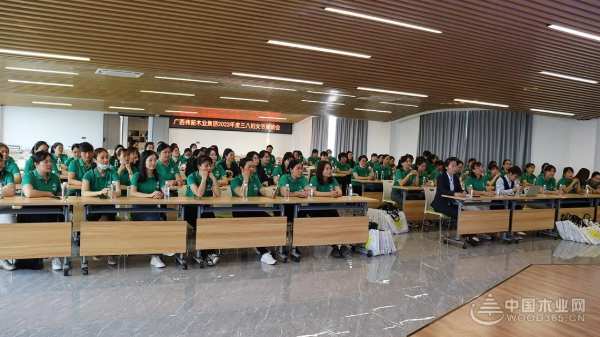 凝聚巾帼力量 绽放最美芳华 伟新集团举办三八节座谈联欢会