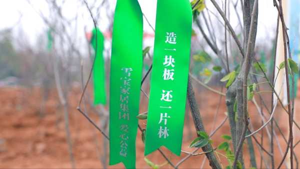 增绿添彩 不负春光|雪宝2023绿荫植树公益活动正当时