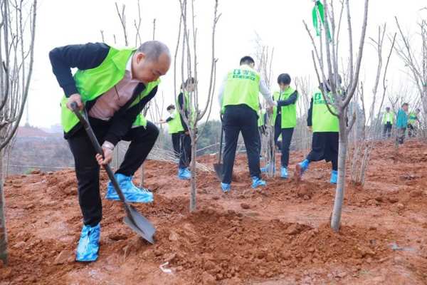 增绿添彩 不负春光|雪宝2023绿荫植树公益活动正当时