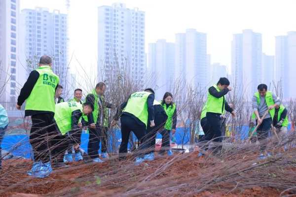 增绿添彩 不负春光|雪宝2023绿荫植树公益活动正当时