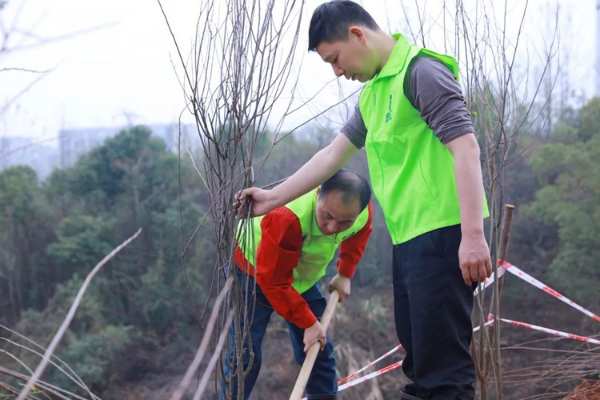 增绿添彩 不负春光|雪宝2023绿荫植树公益活动正当时