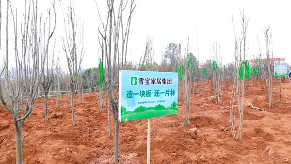 增绿添彩 不负春光|雪宝2023绿荫植树公益活动正当时