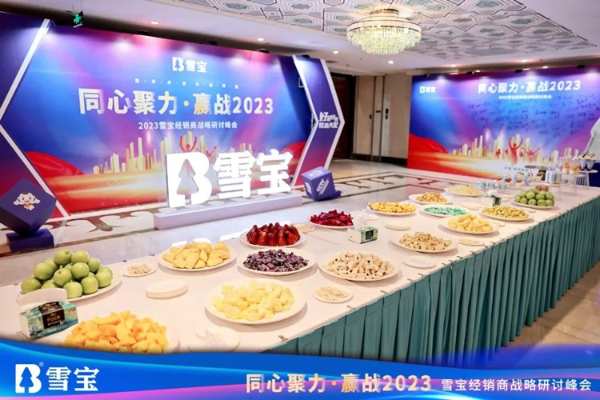 同心聚力·赢战2023丨雪宝经销商战略研讨峰会圆满成功