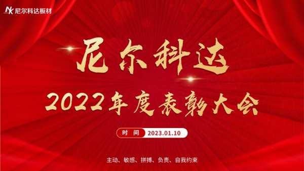 奋楫扬帆，序启新章—尼尔科达集团召开2022年度表彰大会