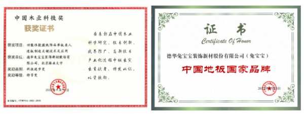 势不可挡 | 德华兔宝宝2022年荣誉回顾
