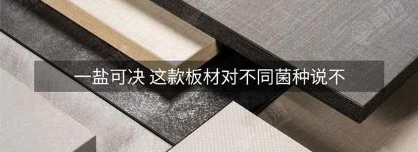 鹏鸿木业年鉴丨把足迹留在昨天，脚步迈向未来