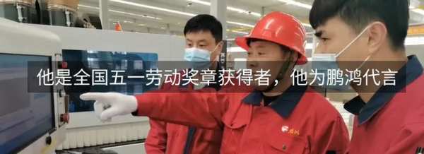 鹏鸿木业年鉴丨把足迹留在昨天，脚步迈向未来