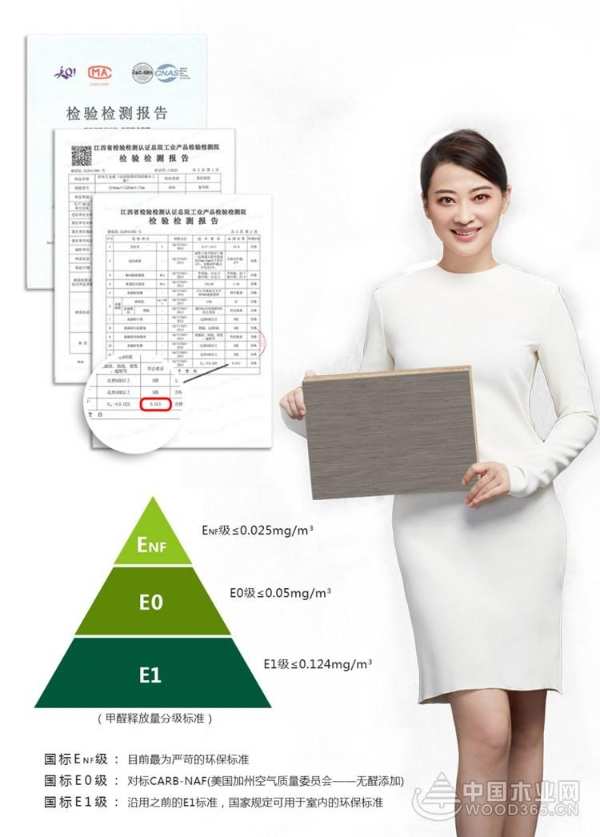 ENF级品质生活！金利源打造无醛居家环境！