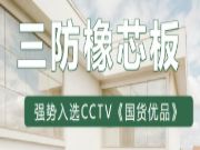 尼尔科达三防橡芯板强势入选CCTV《国货优品》