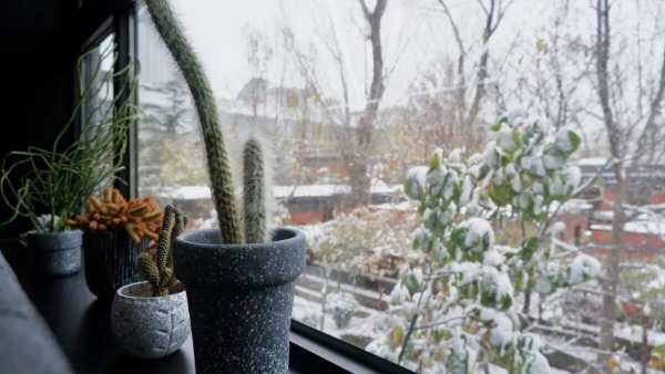 今日大雪 | 安氏亚森板材呵护家人健康，温暖过冬