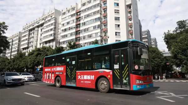 聚势燃动，走红暖冬丨大王椰国羽广告红遍大福州