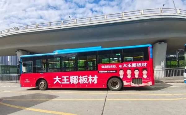 聚势燃动，走红暖冬丨大王椰国羽广告红遍大福州