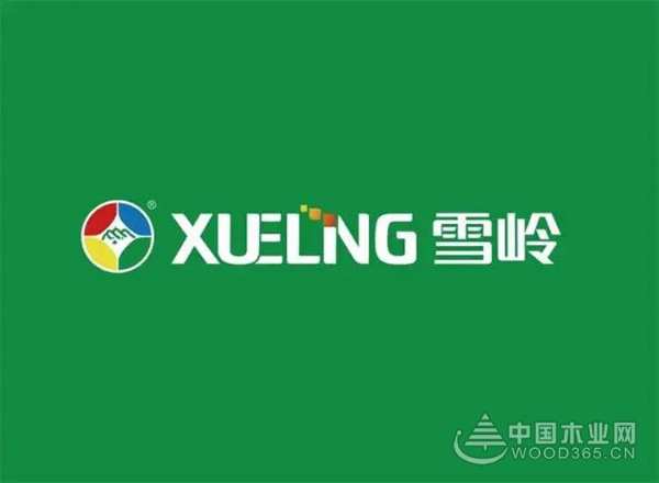雪岭家居：以定制为增长点，开拓无限可能