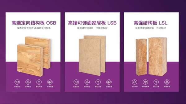 新潮和鸣 向新而行 | 慧典品牌仓运营中心全面启动