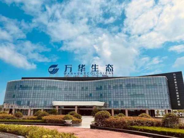 万华禾香北方产业园：龙头带动，助力木业产业绿色发展