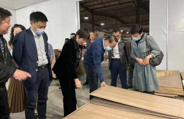安庆大观区&合雅木业商贸总部项目成功签约