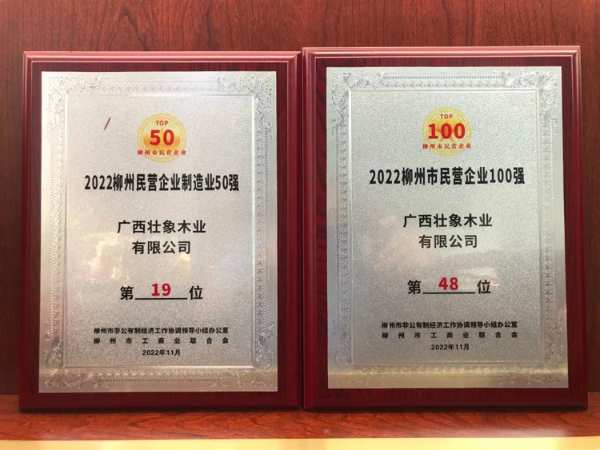 喜报|壮象上榜柳州市民营企业100强