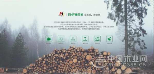 感受高端环保板材的魅力 尼尔科达与你相约大连林产品国际博览会