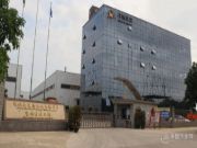 踌躇满志焕新前行 广西伟新集团新办公楼落成启用