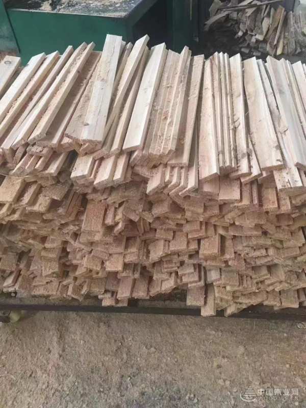 跑出发展“加速度” 沙粒福木业全力以赴冲刺四季度