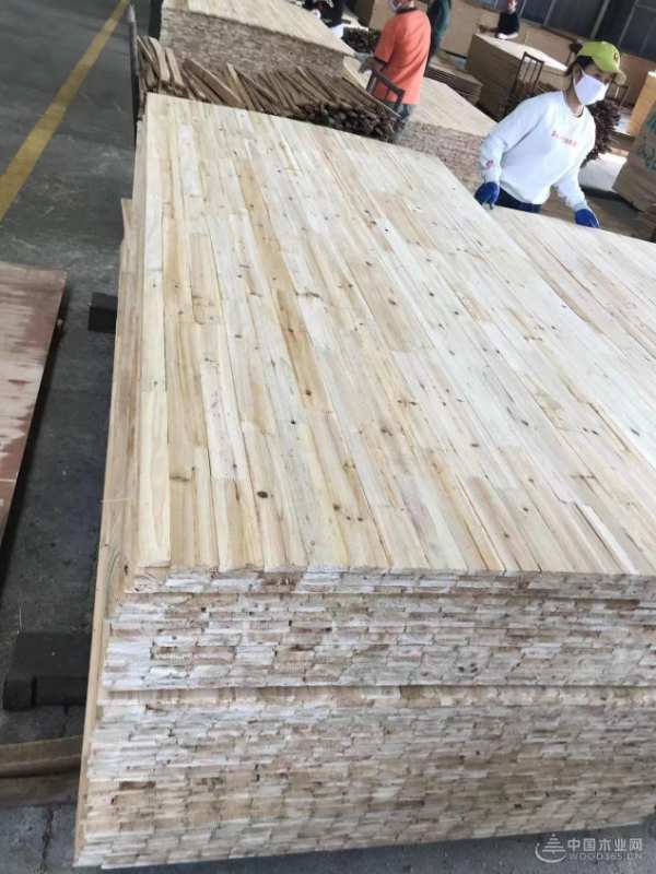 跑出发展“加速度” 沙粒福木业全力以赴冲刺四季度