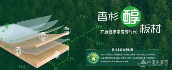 恭喜！壮象上榜广西质量提升示范企业！
