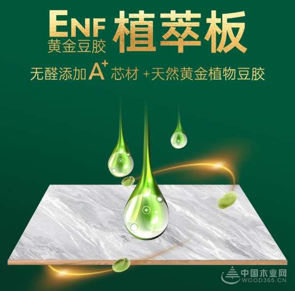 探索品牌新知！金利源经销商婺源研学之旅圆满举行！