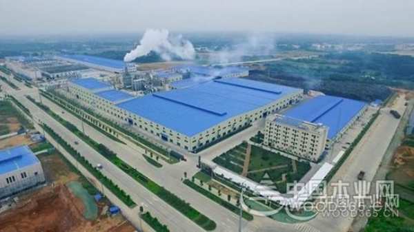 开拓创新 科林高质量发展步伐更加铿锵有力