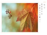 安氏亚森板材 | 月凉如水，叶落萧兮，秋色平分，装修正当时