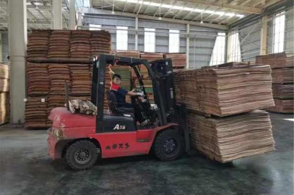 康贝德木业：铆足干劲抓生产推建设