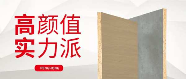 板材简史丨鹏鸿极家板的「前世今生」