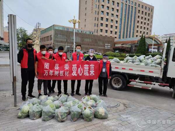 万年树在行动，甘肃陇西县“抗疫之战”保供有我！