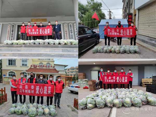 万年树在行动，甘肃陇西县“抗疫之战”保供有我！