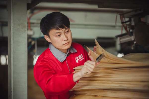 顶配，仅是标配——鹏鸿推出板材5W品质体系