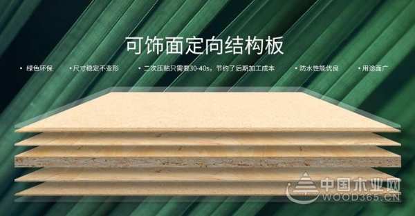 鲁丽：纵深化战略铸就一 流品牌