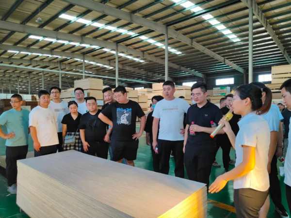 合肥地区家具厂合作伙伴至兔宝宝游学