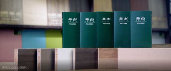 华杰木业董事长彭志军获得“优秀民营企业家”荣誉称号