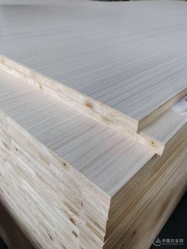 突出重围实力见证 地球村斩获金匠榜“绿色优质供应商十大品牌”