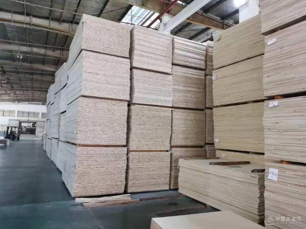 突出重围实力见证 地球村斩获金匠榜“绿色优质供应商十大品牌”
