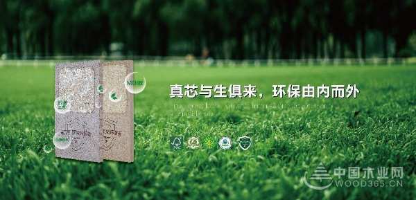 做家居板材领跑者 尼尔科达斩获金匠榜“绿色优质供应商十大品牌”
