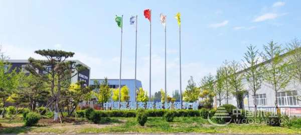 做家居板材领跑者 尼尔科达斩获金匠榜“绿色优质供应商十大品牌”
