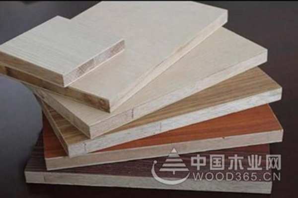 品质见证 泰山木业斩获金匠榜”阻燃板十大品牌“殊荣